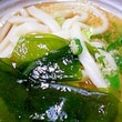 うどん 半生